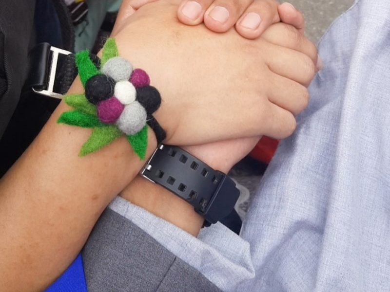 Two hands twined together, one wrist is decorated with the nepali aspecs logo, a laligurans in ace and aro colors
